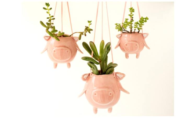 pig_planters